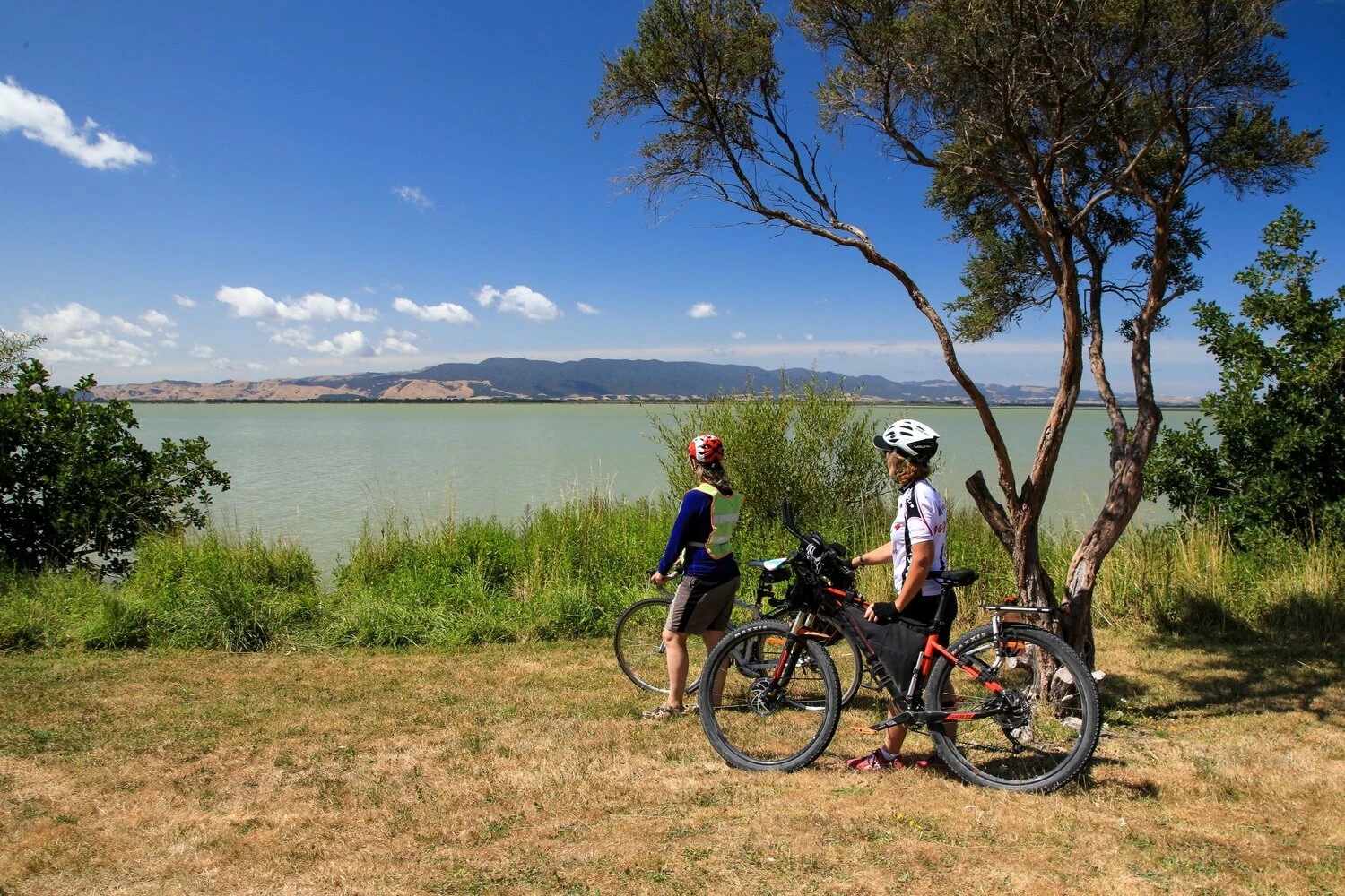 Vélos enfr -Vélos enfr 962326